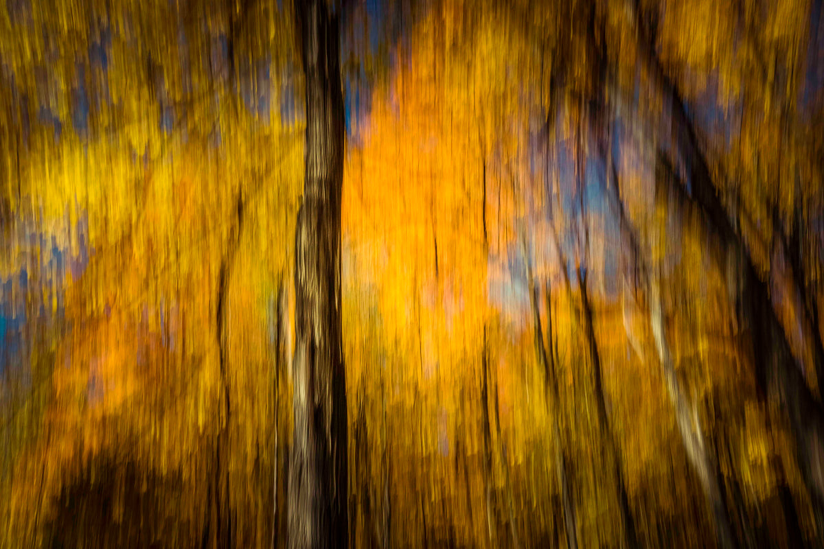 Autumn in Motion — Gatineau Park